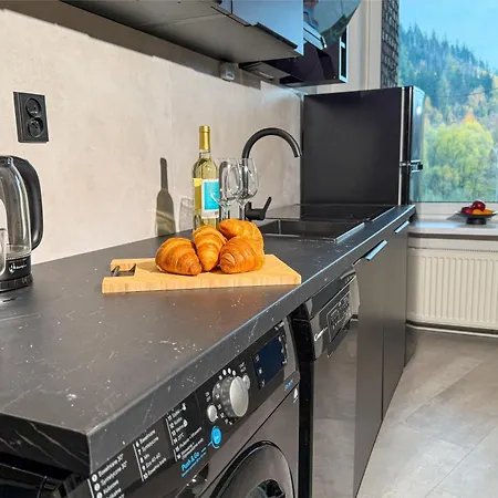 아파트 Z Widokiem Na Mniszek By Libertarent